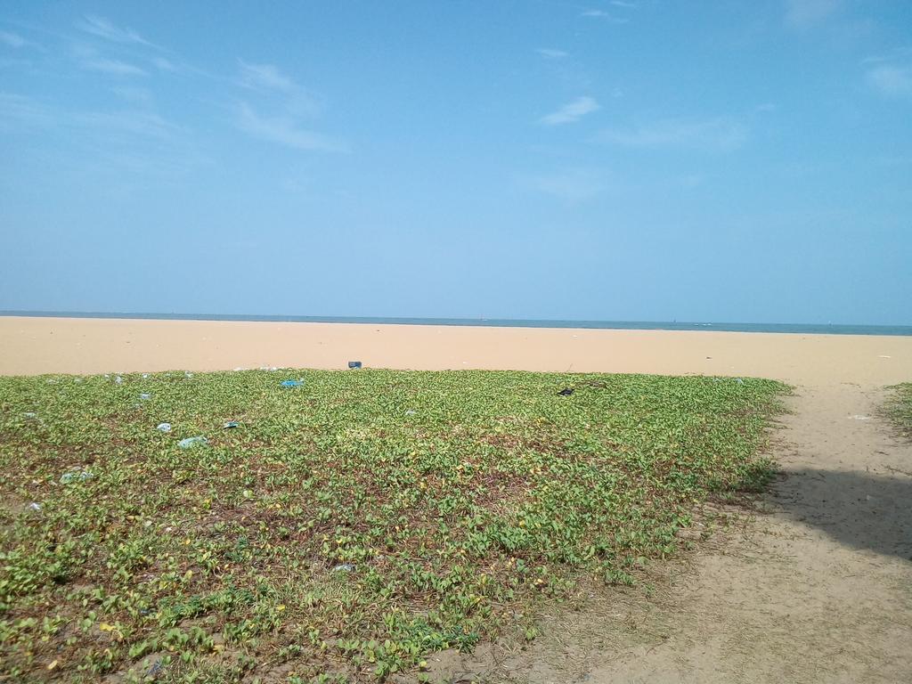 Yoho Mango House Hotel Negombo Exterior photo